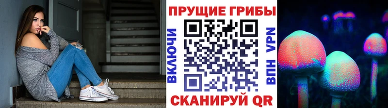 Галлюциногенные грибы MAGIC MUSHROOMS  закладки  Приозерск 